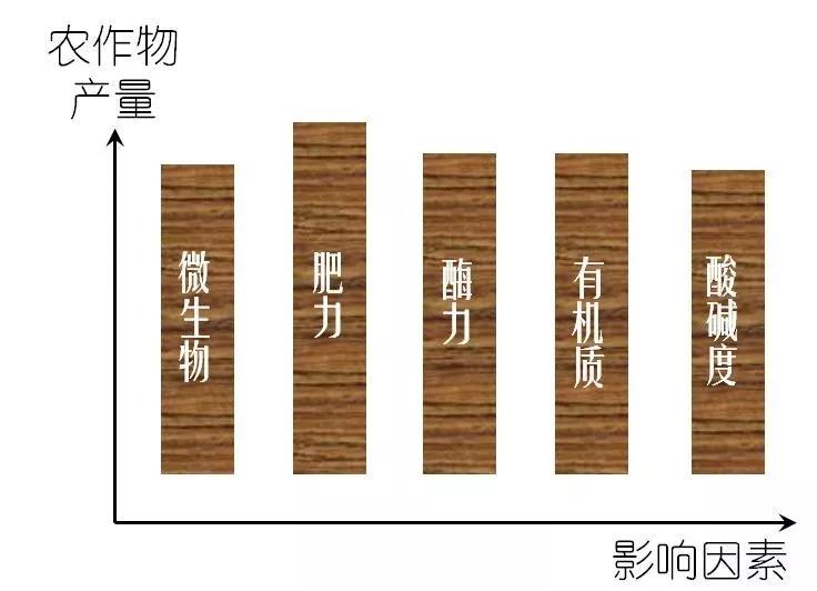 1.jpg 1.jpg