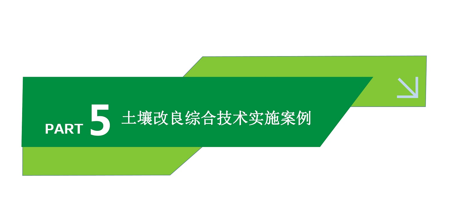 一種修復(fù)土壤重金屬的生物有機肥料及其制備方法--成都華宏曹剛整理的資料2021.12.7.0041.jpg