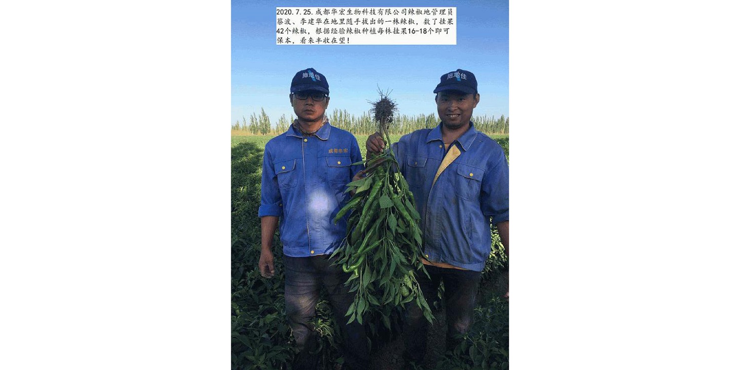 一種修復(fù)土壤重金屬的生物有機肥料及其制備方法--成都華宏曹剛整理的資料2021.12.7.0046.jpg