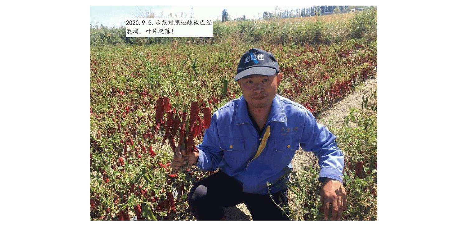 一種修復(fù)土壤重金屬的生物有機肥料及其制備方法--成都華宏曹剛整理的資料2021.12.7.0047.jpg