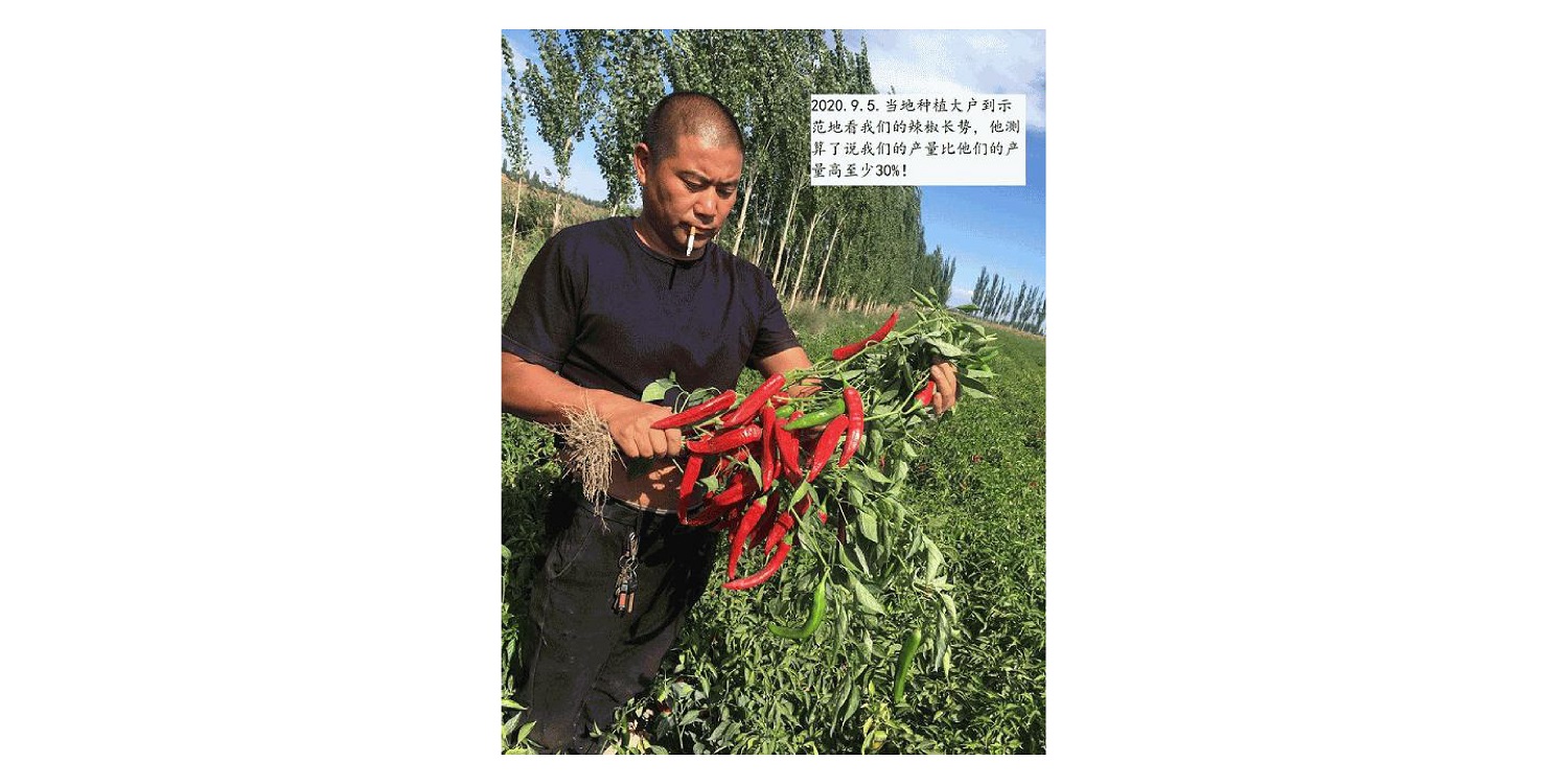 一種修復(fù)土壤重金屬的生物有機肥料及其制備方法--成都華宏曹剛整理的資料2021.12.7.0048.jpg