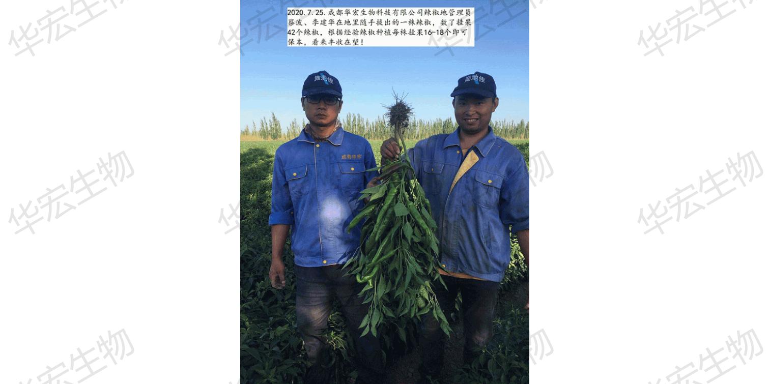 一種飼料一體化生產裝置_44.jpg