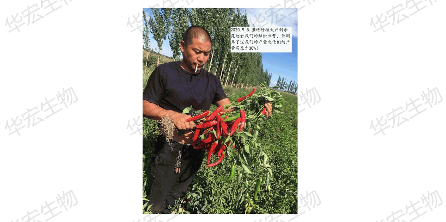 一種飼料一體化生產裝置_46.jpg