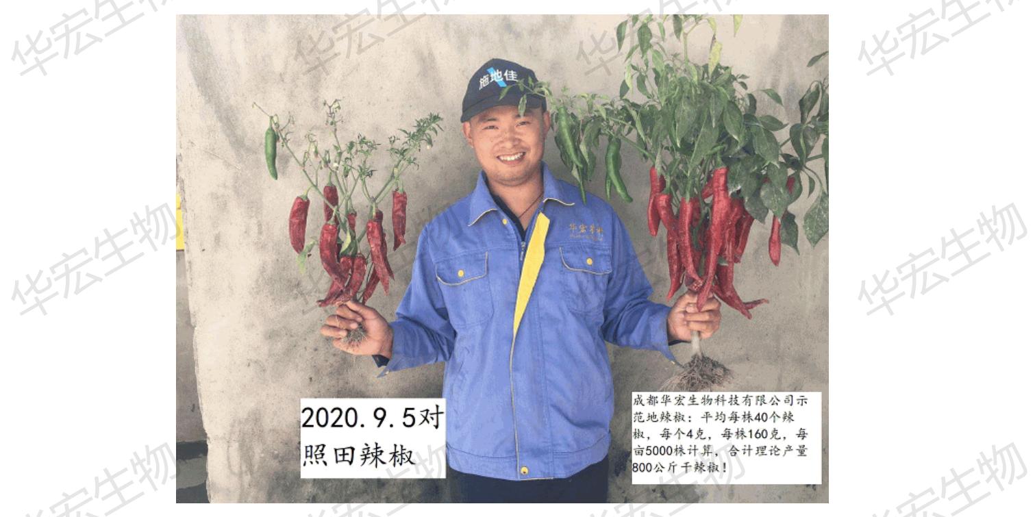 一種飼料一體化生產裝置_47.jpg